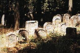 Grabsteine am Judenfriedhof 
