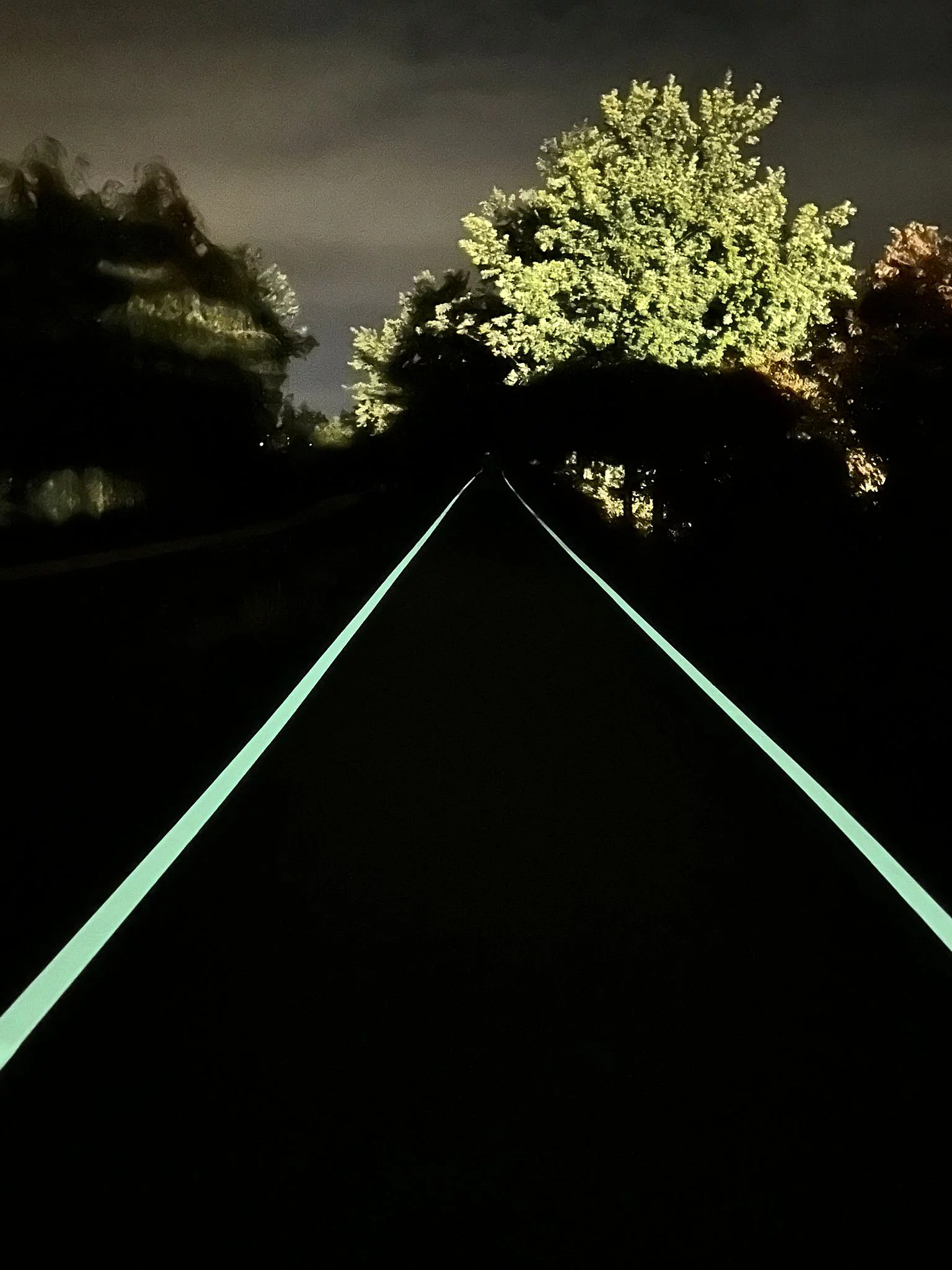 Radweg zwischen Läusberg und Seeside mit Fluoreszierenden Fahrbahnmarkierungen.