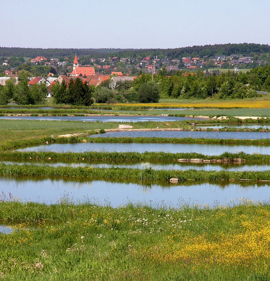 Blick auf die Weiherkette und den Ortsteil Adelsdorf